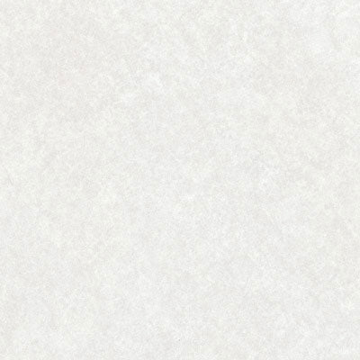 4168-60 Grey Pampas | A | Wilsonart