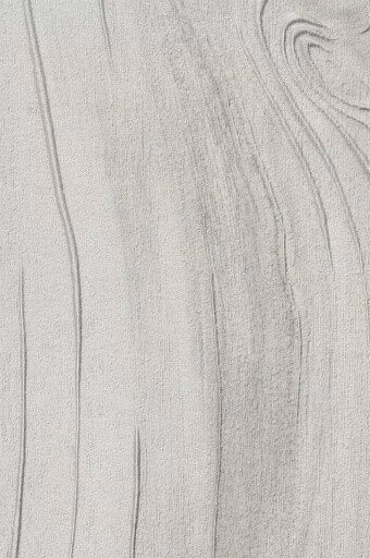Plume Blanche